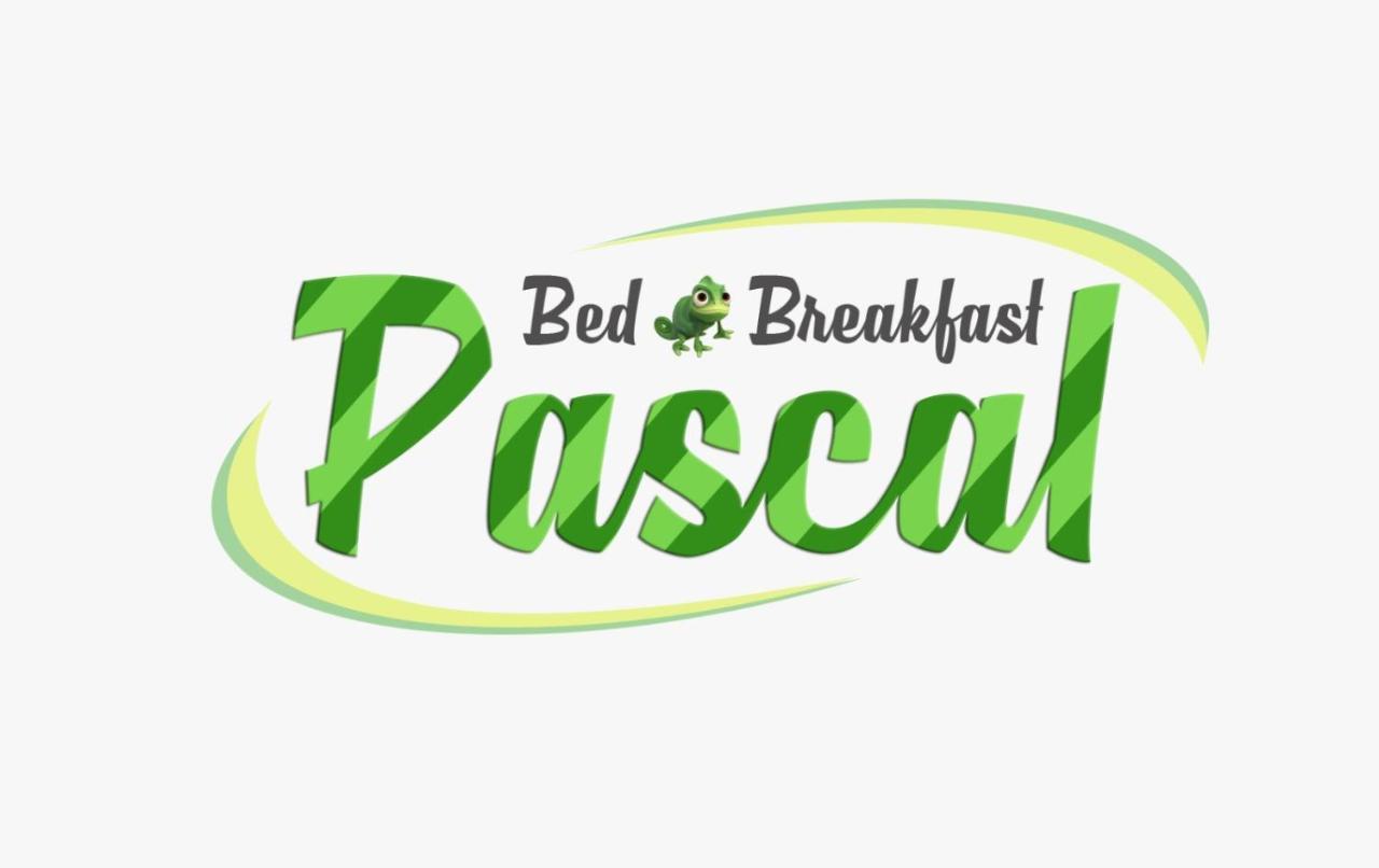 B&B Pascal 칼리아리 외부 사진